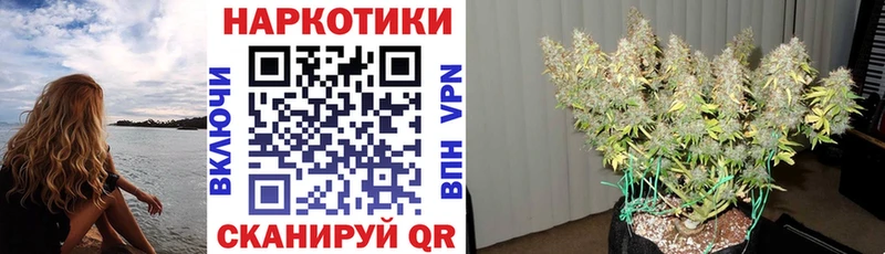 Что такое Камбарка КОКАИН Меф Вейп ТГК MEGA зеркало Гашиш Бошки Шишки