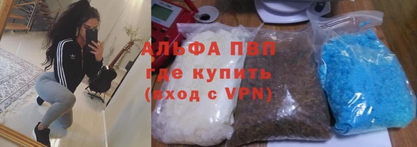 прущие грибы Алексин