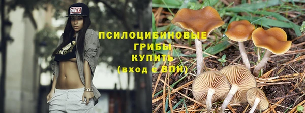 прущие грибы Алексин