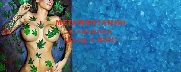 спиды Гатчина