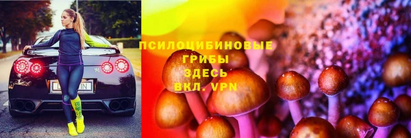 прущие грибы Алексин
